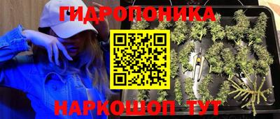 2c-b Чебоксары