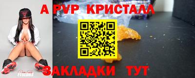 стаф Шебекино