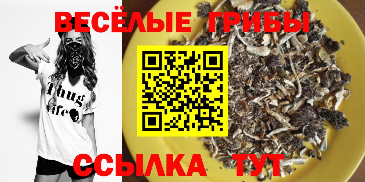 Рязань  Псилоцибиновые грибы Psilocybine cubensis  Вход с VPN 